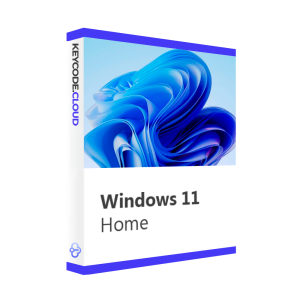 win11-home